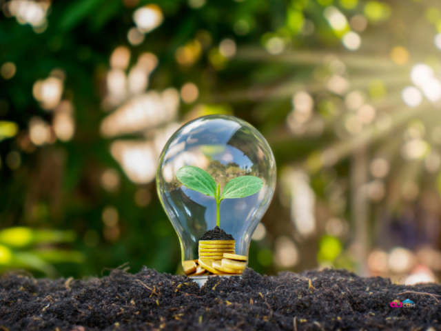 Pourquoi et Comment passer au Chauffage à Énergie Renouvelable